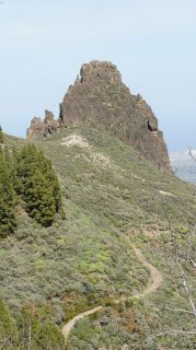 2019-02-GC-Pico_Nieves-PM-NN-56.JPG